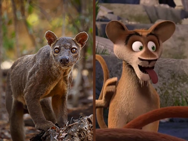 King Julian