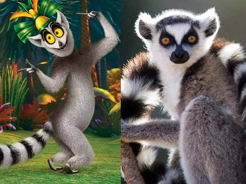King Julian