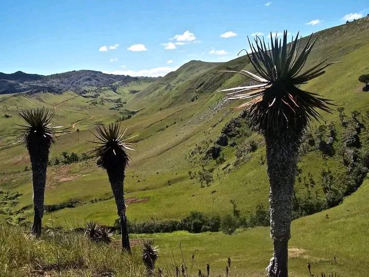 massif itremo