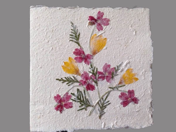 papier Antaimoro